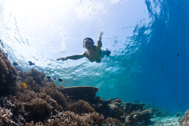 coral reef with snorkeler diving down, woman motion blur
