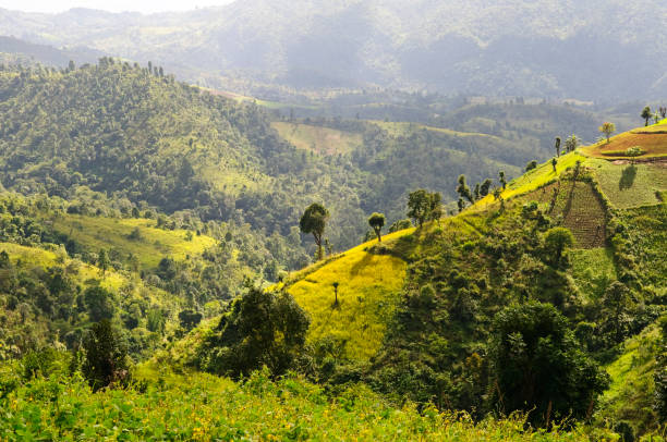 istock Landscape in Myanmar near Kalaw 155390991