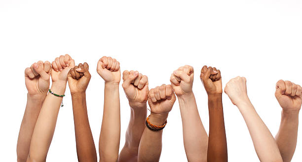 Fists Hands Raised Fists Hands Raised in Studio sea of hands stock pictures, royalty-free photos & images