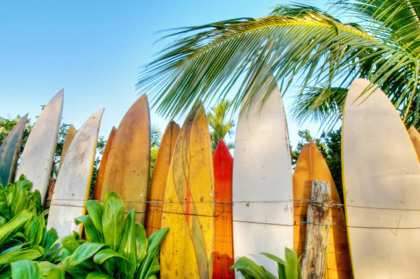 istock Surfboard fence lit by sunrise 155391206
