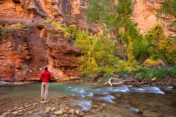 istock Hiking in Zion National Park 155391484