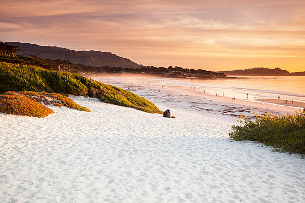 carmel spiaggia di carmel-by-the-sea - pebble beach california foto e immagini stock