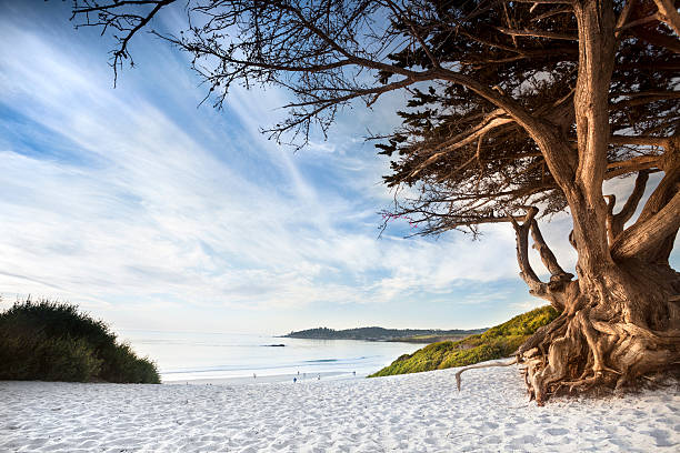 istock Carmel Beach in Carmel-by-the-Sea 155391562