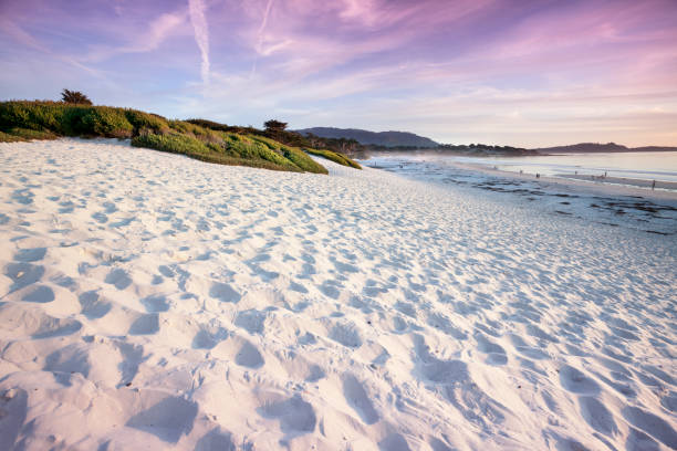 istock Carmel Beach in Carmel-by-the-Sea 155391564