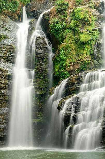 Photo of Tropical waterfall