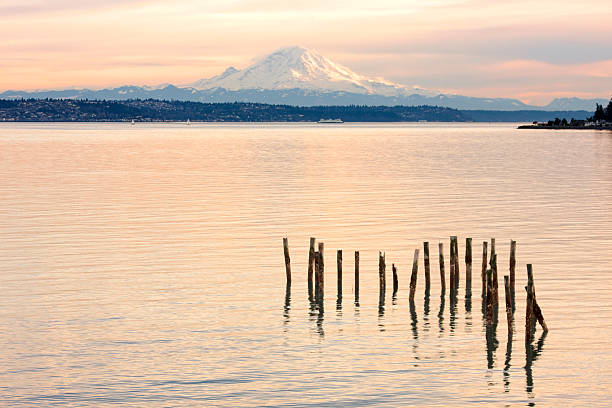 Sunset on Mount Rainier seen over Puget Sound Oranges of sunset reflect off of the waters of Puget Sound and Mount Rainier in the distance. A passenger ferry passes in front of Mount Rainier. bainbridge island photos stock pictures, royalty-free photos & images
