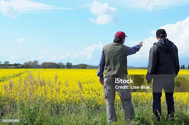 Dwa Rolników Wskazywać Canola Pole - zdjęcia stockowe i więcej obrazów Rolnik - Rolnik, Dyskusja, Planowanie