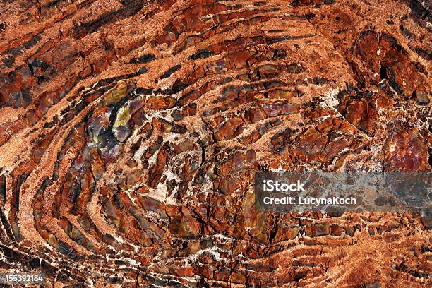 Petrified Wood Fossil Stockfoto und mehr Bilder von Arizona - Arizona, Bildhintergrund, Bunt - Farbton