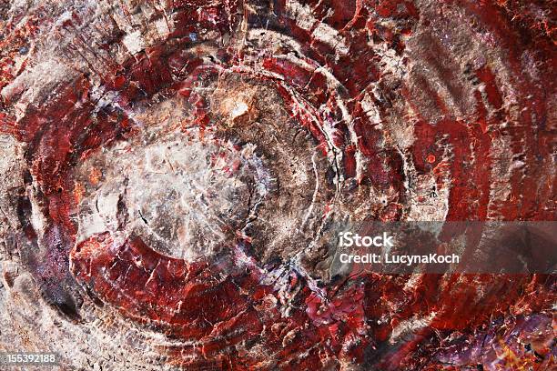 Versteinertes Holz Fossil Stockfoto und mehr Bilder von Arizona - Arizona, Bildhintergrund, Bunt - Farbton