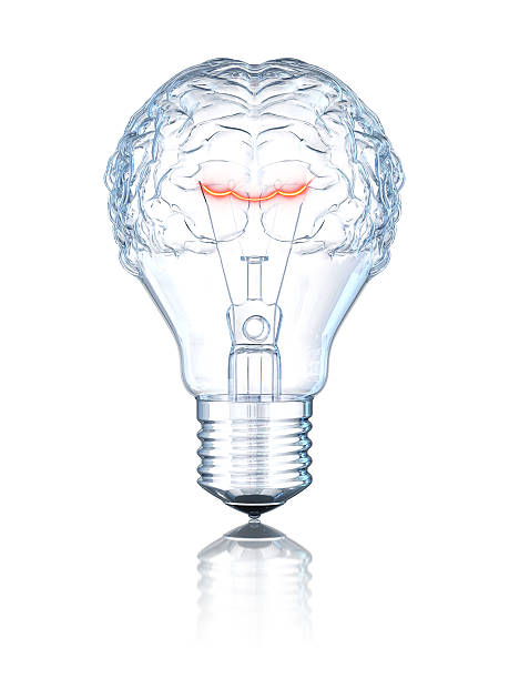 Light Bulb Brain Business concept. Isolated on white with clipping path. 3D render. brain thinking intelligence inspiration stock pictures, royalty-free photos & images