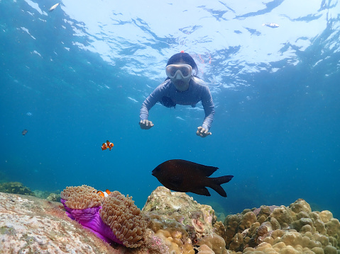 Young female diving with snorkel and fins to see Nemo fish and coral at Samaesarn Island of Thailand