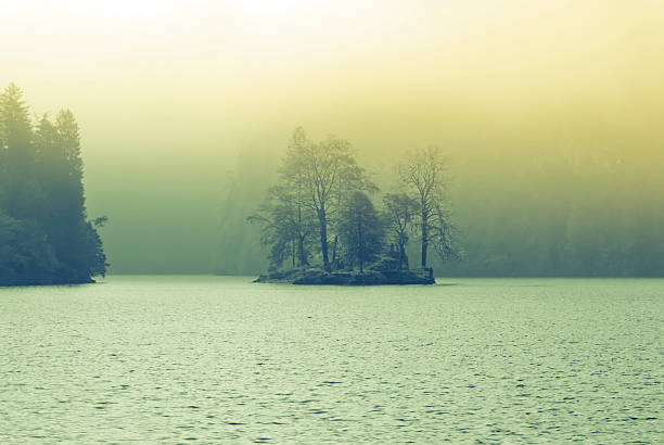 Morning fog at Koenigssee, Schoenau am Koenigssee, Bavaria, Germany. Somber mood of the picture with sepia tint.