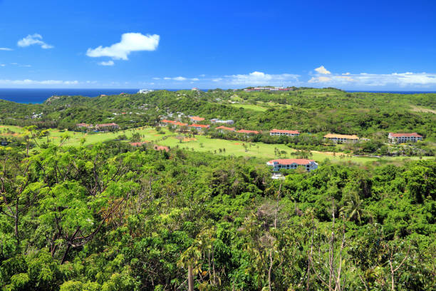 boracay 島の景観 - formal garden tropical climate park plant ストックフォトと画像