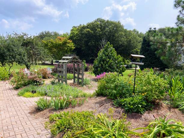 istock Kiesel Park in Auburn, Alabama 1553930635