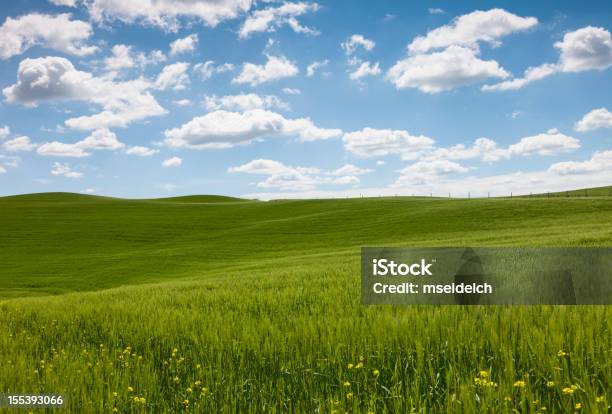 Foto de Paisagem Na Toscana Itália e mais fotos de stock de Ajardinado - Ajardinado, Azul, Campo