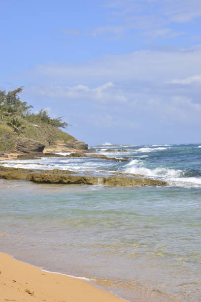 istock Majestic Tropical Rocky Beach 1553930668