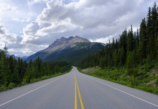 istock Icefields Parkway Road in Jasper National Park, Canada 1553930682