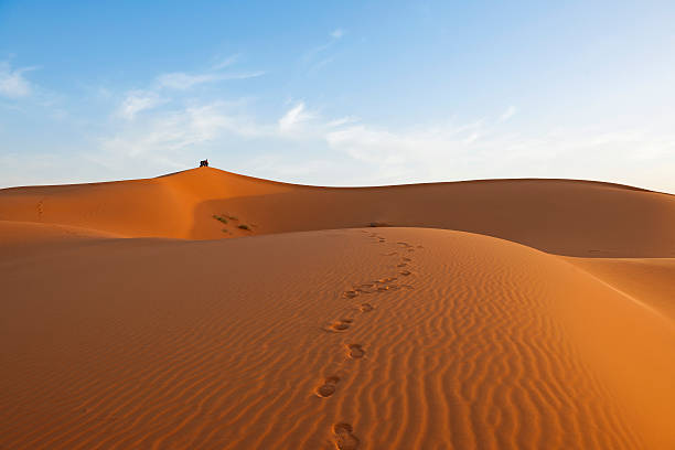 istock Erg Chebbi Desert in Evening Sun Morocco 155393171