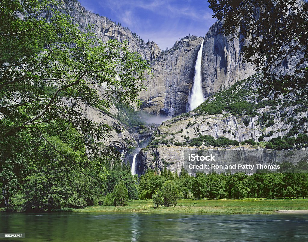 Landscape of Yosemite NP Spring on a sunny day Yosemite Falls From The Valley Floor With Spring Ferns, CA Yosemite Falls Stock Photo