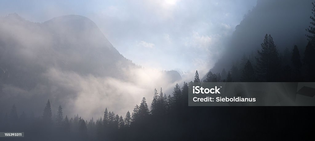 Yosemite mystic forest in morning with fog and clouds. At The Edge Of Stock Photo
