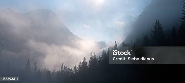 Yosemite Mystic Forest In Morning With Fog And Clouds Stock Photo - Download Image Now