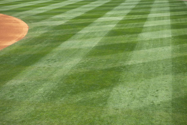 Baseball field grass cut in diamonds This color image is of a Baseball Outfield of a Baseball Field at live Baseball Game. the outfield is green grass or lawn that has been mowed. there are patterns in the grass. also, the infield is participially in the photo. the infield is made of dirt. the photo was taken during a live sporting event or baseball game. and the lighting is natural sunlight.  baseball baseballs spring training professional sport stock pictures, royalty-free photos & images