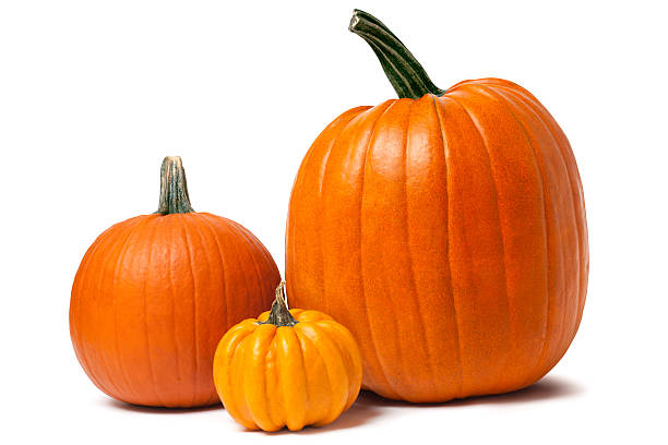Pumpkins isolated on white with clipping path An arrangement of three pumpkins isolated on white with shadows - clipping path included pumpkin photos stock pictures, royalty-free photos & images