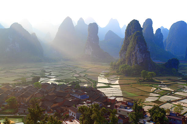 istock rice fields at sunset,yangshuo,guilin,china 155393716