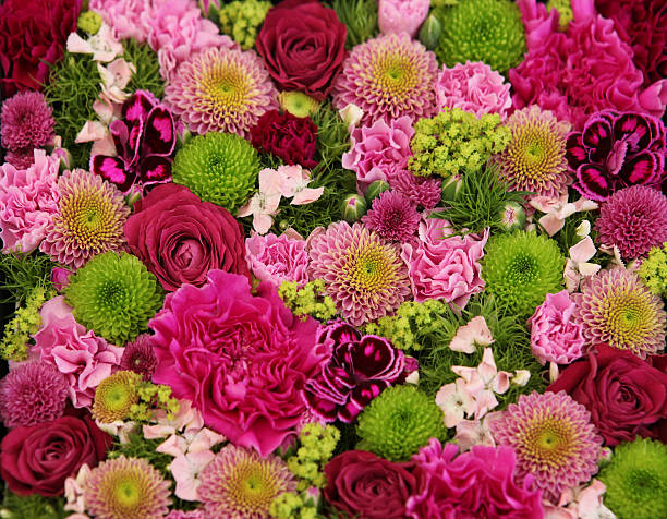 Beautiful bunch of colorful flowers Beautiful pink, red and green bouquet of flowers: Rose, peonies, asters and carnations. Similar: flower arrangement bouquet variation flower stock pictures, royalty-free photos & images