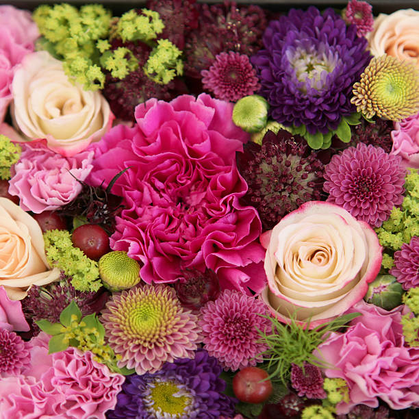 schöne reihe von bunten blumen, nahaufnahme - cut flowers bouquet flower flower arrangement stock-fotos und bilder
