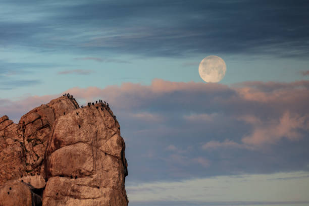 Cormorants perched on rocky outcrop in Morro Bay, California. Full moon sandwiched between colored layers of clouds in the background.
