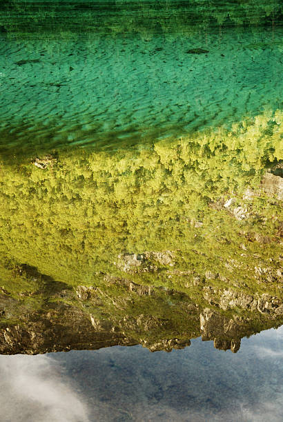 istock Inverted reflection in the mirror surface of water. 155394502