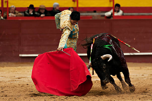 Bullfighter Bullfighter and bull in action. Spain banderilla stock pictures, royalty-free photos & images