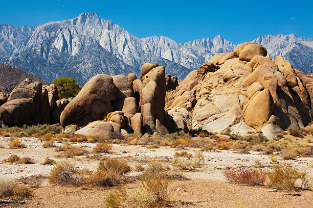 istock Mount Whitney and Alabama Hills 155394751