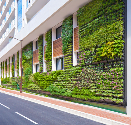 Wall of a new building covered with plants to make a green or living wall. The plants grow in special hydroponic pots attached to the wall.
