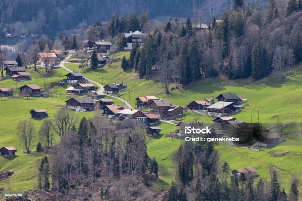 Village of Beatenberg - Waldegg, Bernese Oberland, Switzerland, Village of Beatenberg - Waldegg, Bernese Oberland, Switzerland, Spring Agricultural Field Stock Photo