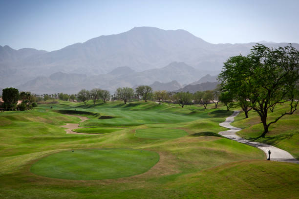 Fairway on a luxury golf course  palm desert pool stock pictures, royalty-free photos & images