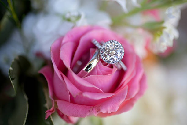 Wedding rings in a pink rose stock photo