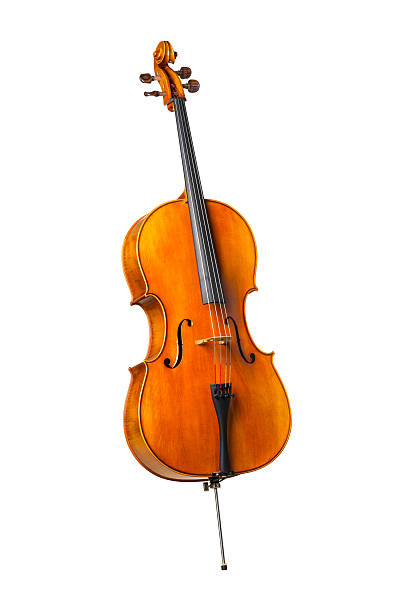 cello ganzkörper-schuss - cello stock-fotos und bilder