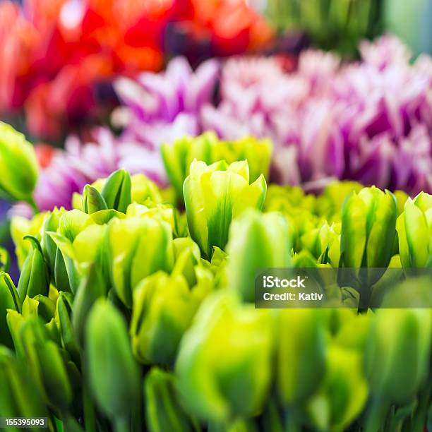 Hermoso Ramo De Tulipanes Foto de stock y más banco de imágenes de Amarillo - Color - Amarillo - Color, Belleza, Belleza de la naturaleza