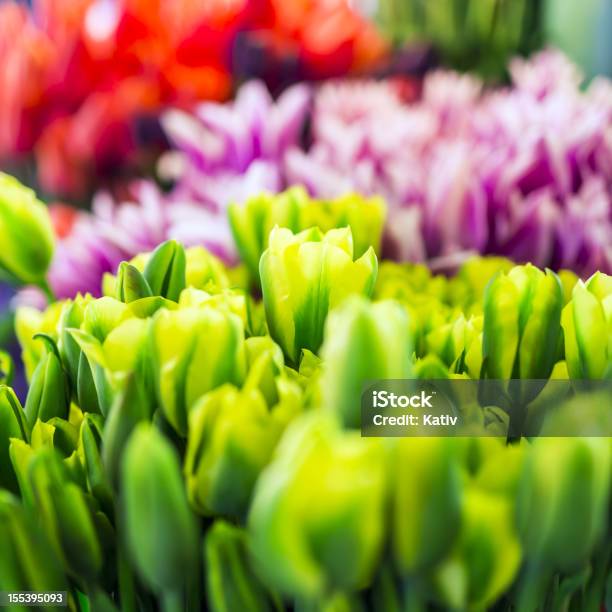 Photo libre de droit de Beau Bouquet De Tulipes banque d'images et plus d'images libres de droit de Beauté - Beauté, Beauté de la nature, Bouquet de fleurs