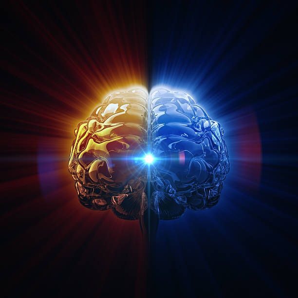 Light Of Mind Intelligence concept. 3D render. nervous system concept stock pictures, royalty-free photos & images