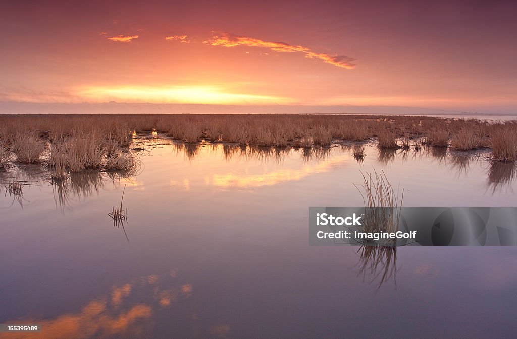 Magnifique coucher de soleil sur la Prairie marais. - Photo de Marécage libre de droits