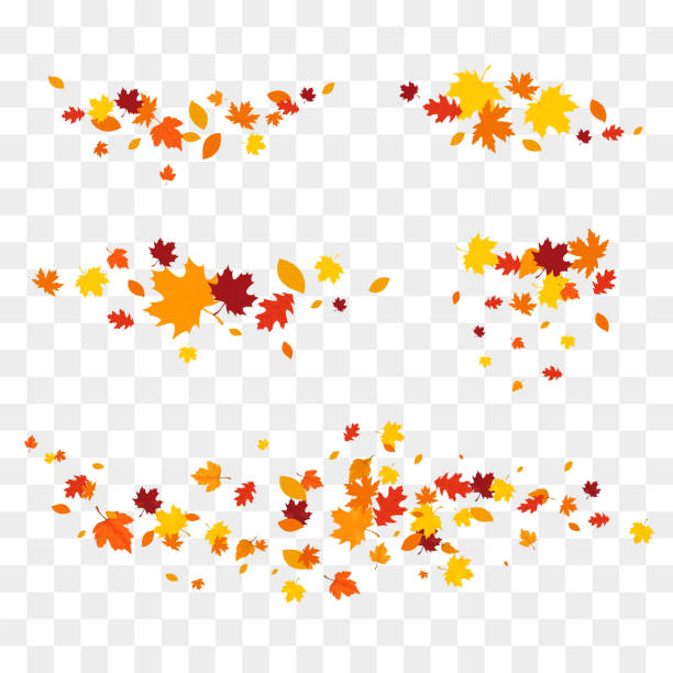 herbstfallendes laub isoliert. - herbstlaub stock-grafiken, -clipart, -cartoons und -symbole