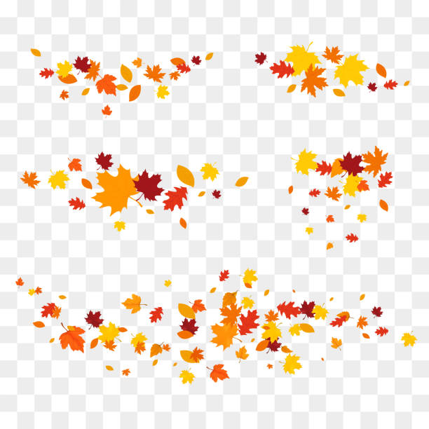 Autumn falling leaves isolated. Autumn falling leaves isolated on white background. Autumn maple and oak leaves. fall leaves stock illustrations