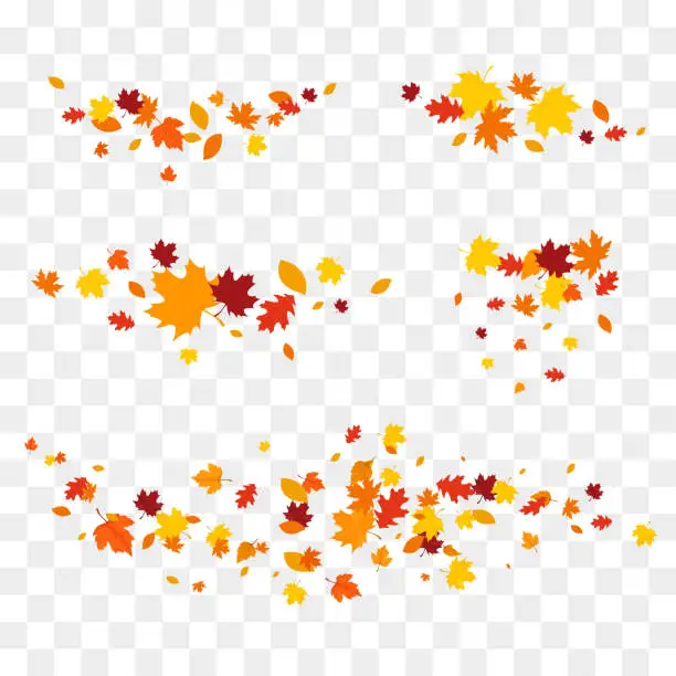 Vector illustration of Autumn falling leaves isolated.