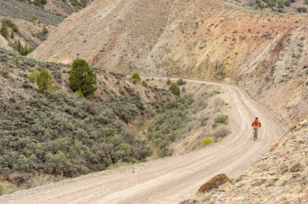 istock Mountain Biker in Scenic Canyon 155396159