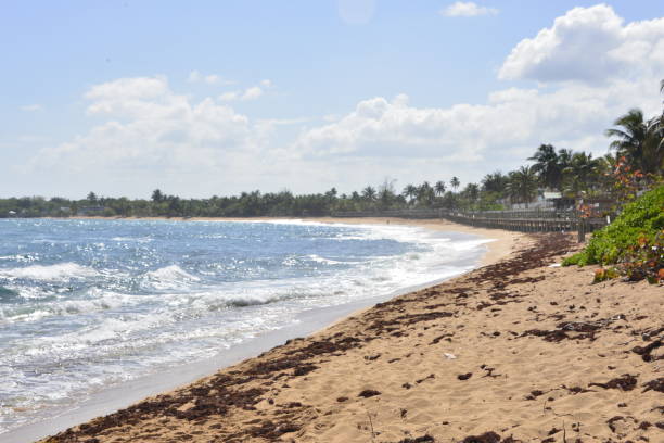 istock Rough Seas Along Tropical Coastline 1553970471