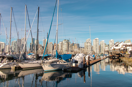 Vancouver, CANADA - Jan 14 2023 : Marina near Charleson Park and Granville Island area. Beautiful day. Lots of boats, blue sky, beautiful reflections. Image showing good atmosphere.