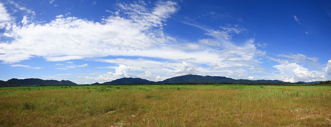 Natural view and background, Meadow and mountain view